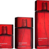 Armand Basi In Red Parfum 100ml (Парфюмерная вода)