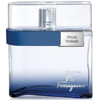 Salvatore Ferragamo F by Ferragamo Free Time Pour Homme 100ml (Туалетная вода)